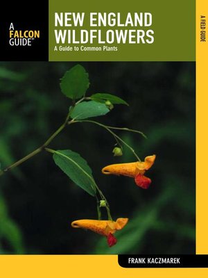 cover image of New England Wildflowers